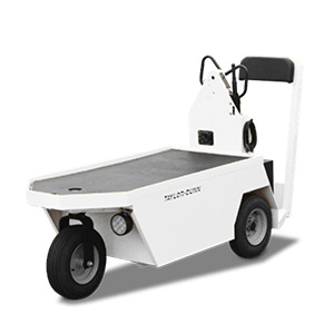 Taylor-Dunn SC-100 stock chaser
